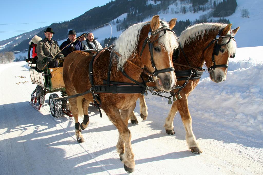 "Schoen-Urlauben" Lejlighed Grobming Eksteriør billede