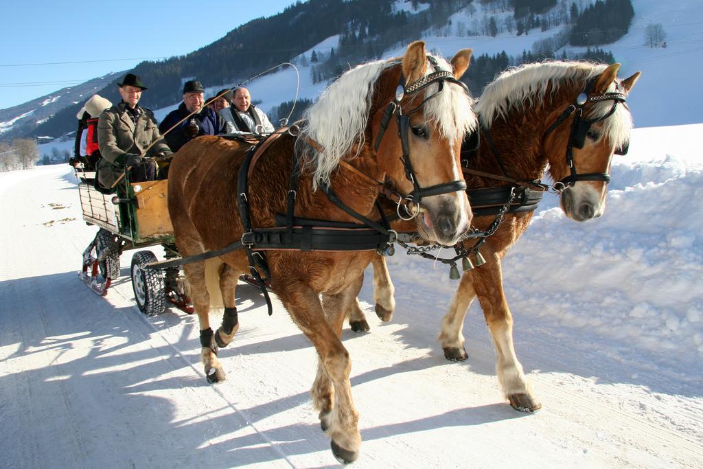 "Schoen-Urlauben" Grobming Eksteriør billede