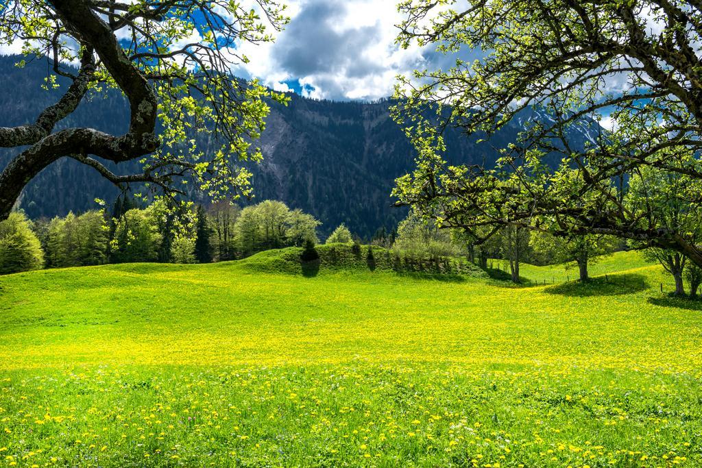 "Schoen-Urlauben" Grobming Eksteriør billede